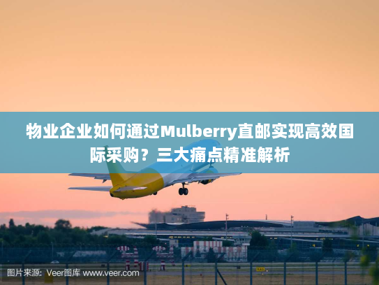 物业企业如何通过Mulberry直邮实现高效国际采购?三大痛点精准解析 物业企业如何通过Mulberry直邮实现高效国际采购?三大痛点精准解析