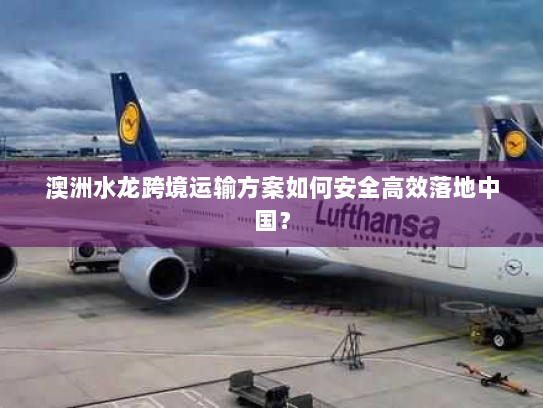 澳洲水龙跨境运输方案如何安全高效落地中国? 澳洲水龙跨境运输方案如何安全高效落地中国?