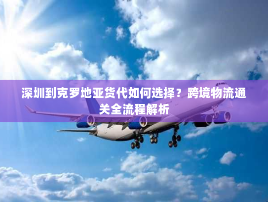深圳到克罗地亚货代如何选择？跨境物流通关全流程解析