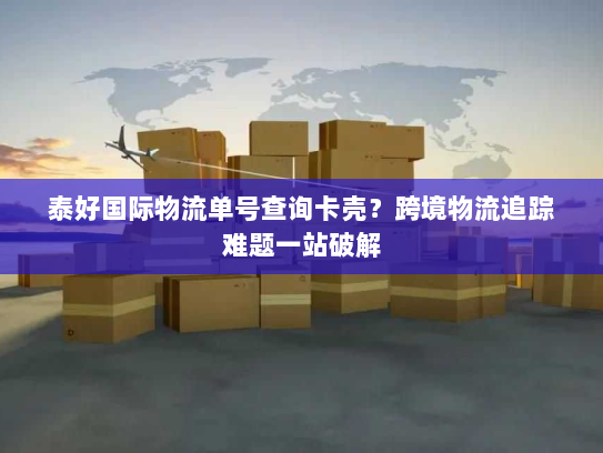 泰好国际物流单号查询卡壳?跨境物流追踪难题一站破解 泰好国际物流单号查询卡壳?跨境物流追踪难题一站破解