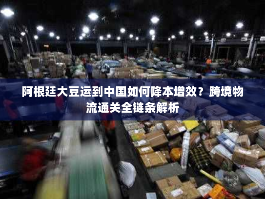 阿根廷大豆运到中国如何降本增效?跨境物流通关全链条解析 阿根廷大豆运到中国如何降本增效?跨境物流通关全链条解析
