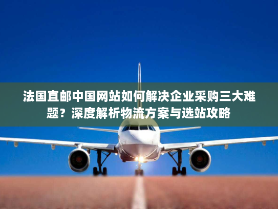 法国直邮中国网站如何解决企业采购三大难题？深度解析物流方案与选站攻略