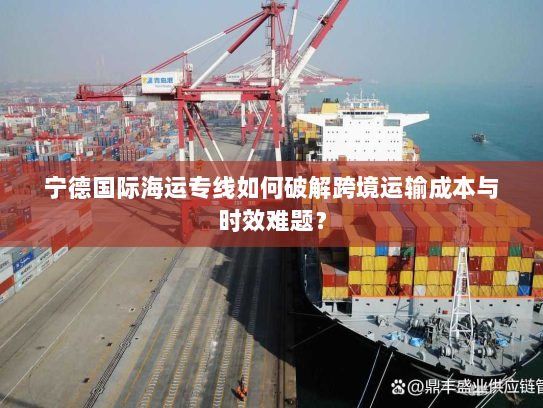 宁德国际海运专线如何破解跨境运输成本与时效难题？