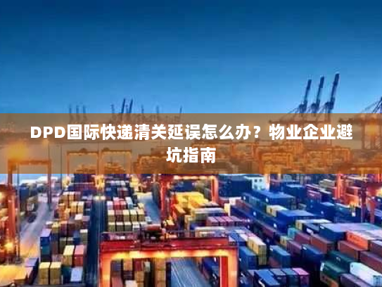 DPD国际快递清关延误怎么办？物业企业避坑指南