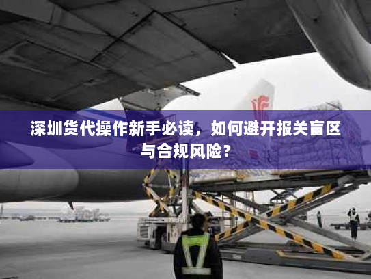 深圳货代操作新手必读，如何避开报关盲区与合规风险？