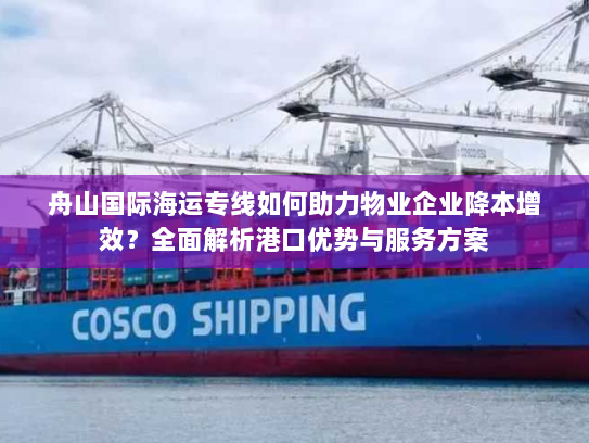 舟山国际海运专线如何助力物业企业降本增效？全面解析港口优势与服务方案