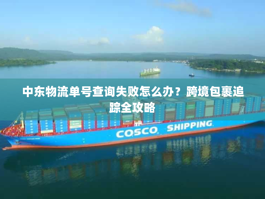 中东物流单号查询失败怎么办?跨境包裹追踪全攻略 中东物流单号查询失败怎么办?跨境包裹追踪全攻略