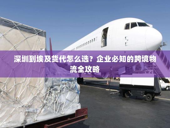 深圳到埃及货代怎么选？企业必知的跨境物流全攻略