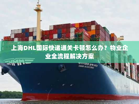 上海DHL国际快递通关卡顿怎么办？物业企业全流程解决方案