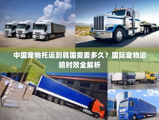 中国宠物托运到韩国需要多久？国际宠物运输时效全解析