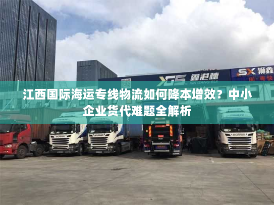 江西国际海运专线物流如何降本增效？中小企业货代难题全解析