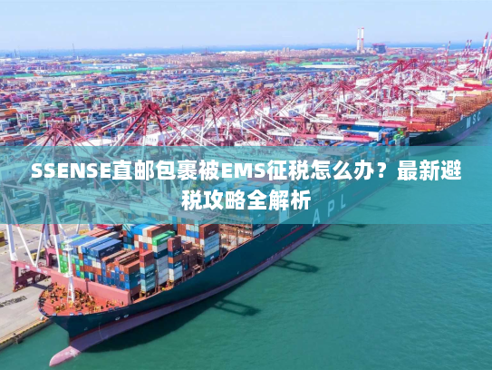 SSENSE直邮包裹被EMS征税怎么办？最新避税攻略全解析