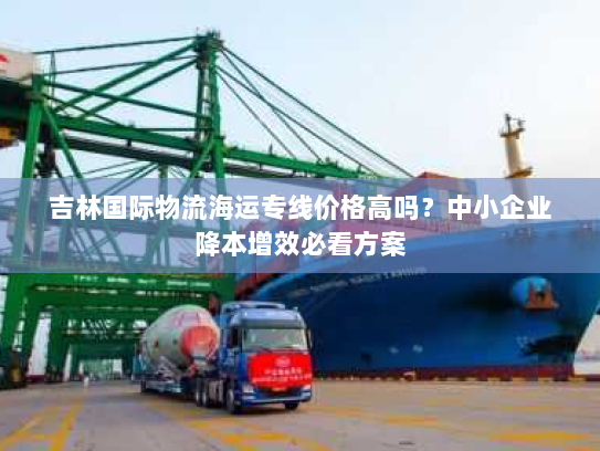 吉林国际物流海运专线价格高吗？中小企业降本增效必看方案