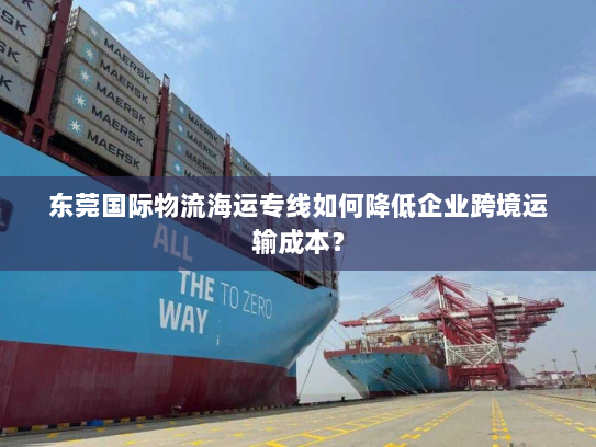 东莞国际物流海运专线如何降低企业跨境运输成本？