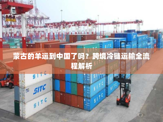 蒙古的羊运到中国了吗？跨境冷链运输全流程解析