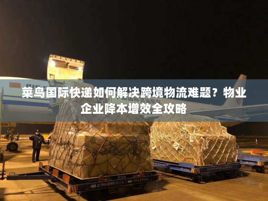 菜鸟国际快递如何解决跨境物流难题？物业企业降本增效全攻略