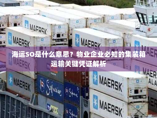 海运SO是什么意思？物业企业必知的集装箱运输关键凭证解析