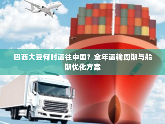 巴西大豆何时运往中国？全年运输周期与船期优化方案