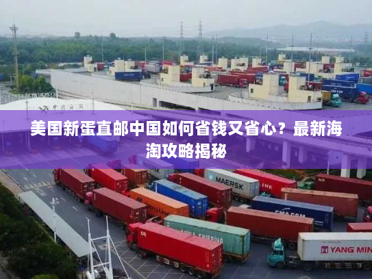 美国新蛋直邮中国如何省钱又省心？最新海淘攻略揭秘