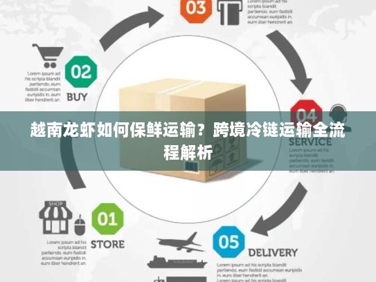 越南龙虾如何保鲜运输？跨境冷链运输全流程解析