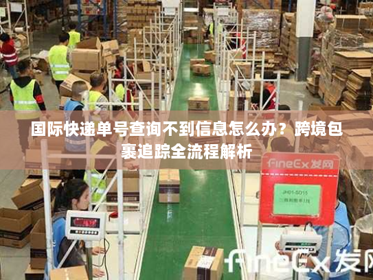 国际快递单号查询不到信息怎么办？跨境包裹追踪全流程解析