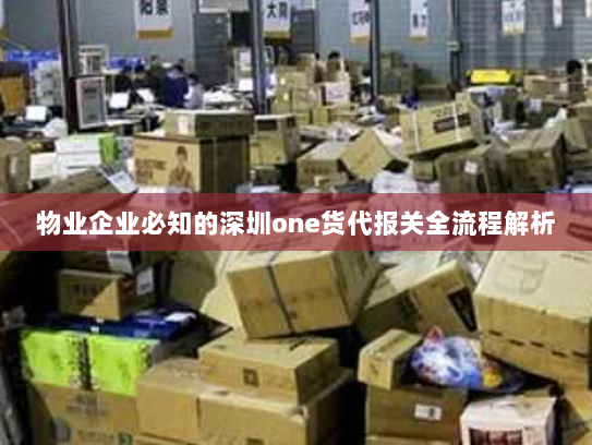 物业企业必知的深圳one货代报关全流程解析
