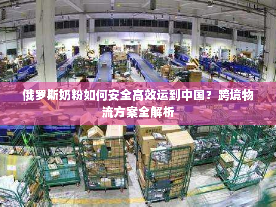 俄罗斯奶粉如何安全高效运到中国？跨境物流方案全解析