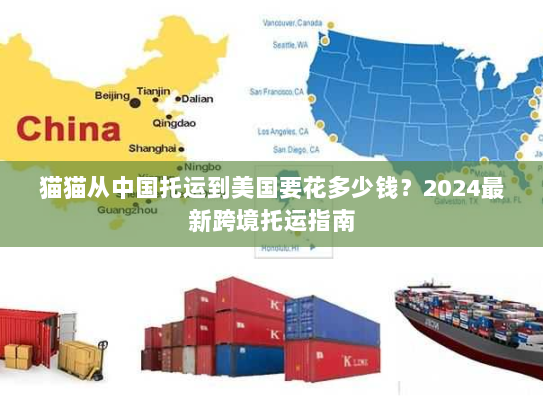 猫猫从中国托运到美国要花多少钱?2024最新跨境托运指南 猫猫从中国托运到美国要花多少钱?2024最新跨境托运指南