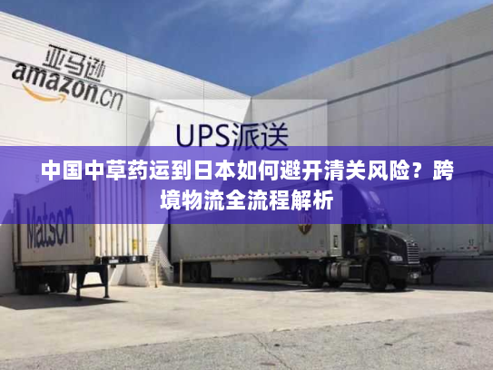 中国中草药运到日本如何避开清关风险？跨境物流全流程解析