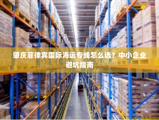 肇庆菲律宾国际海运专线怎么选?中小企业避坑指南 肇庆菲律宾国际海运专线怎么选?中小企业避坑指南