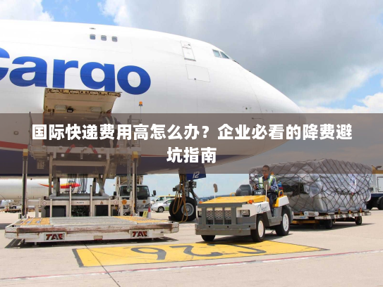 国际快递费用高怎么办？企业必看的降费避坑指南