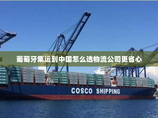 葡萄牙集运到中国怎么选物流公司更省心 葡萄牙集运到中国怎么选物流公司更省心