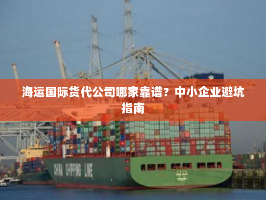 海运国际货代公司哪家靠谱？中小企业避坑指南