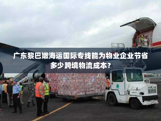 广东黎巴嫩海运国际专线能为物业企业节省多少跨境物流成本？