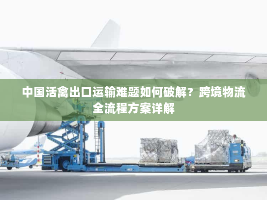 中国活禽出口运输难题如何破解?跨境物流全流程方案详解 中国活禽出口运输难题如何破解?跨境物流全流程方案详解