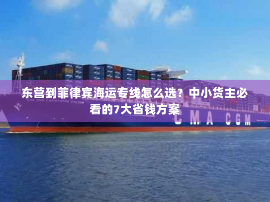 东营到菲律宾海运专线怎么选？中小货主必看的7大省钱方案