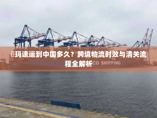 玥玛速运到中国多久？跨境物流时效与清关流程全解析