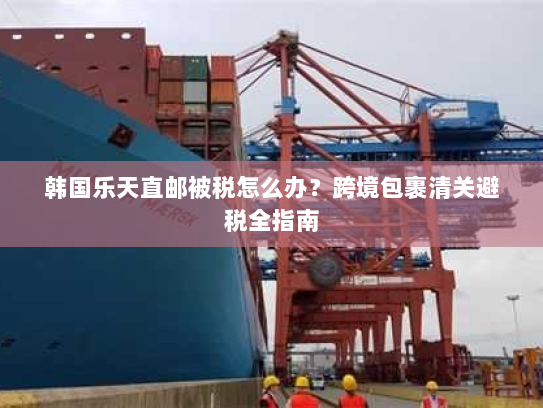 韩国乐天直邮被税怎么办？跨境包裹清关避税全指南