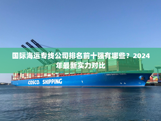 国际海运专线公司排名前十强有哪些？2024年最新实力对比