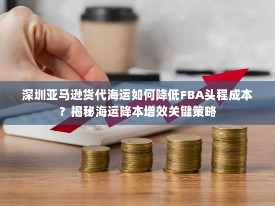 深圳亚马逊货代海运如何降低FBA头程成本?揭秘海运降本增效关键策略 深圳亚马逊货代海运如何降低FBA头程成本?揭秘海运降本增效关键策略