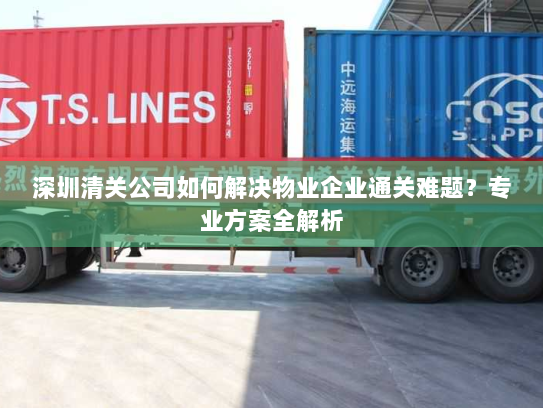 深圳清关公司如何解决物业企业通关难题？专业方案全解析