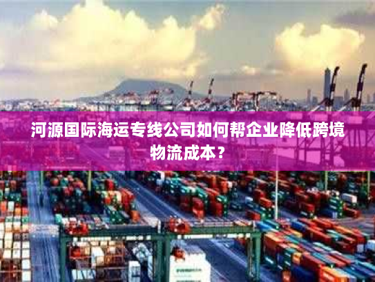 河源国际海运专线公司如何帮企业降低跨境物流成本？