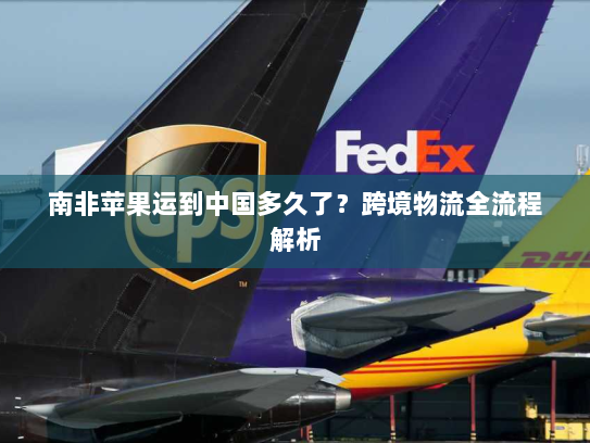 南非苹果运到中国多久了？跨境物流全流程解析