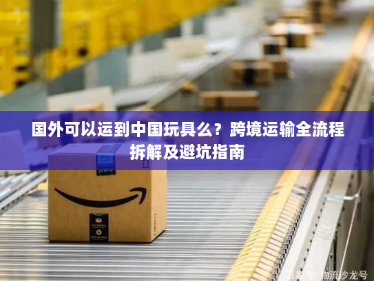 国外可以运到中国玩具么？跨境运输全流程拆解及避坑指南