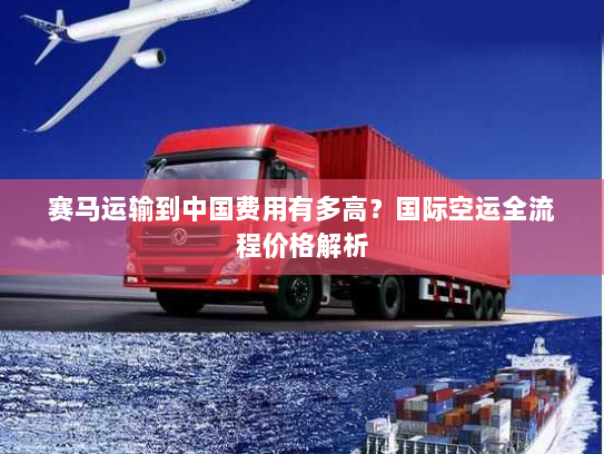 赛马运输到中国费用有多高？国际空运全流程价格解析