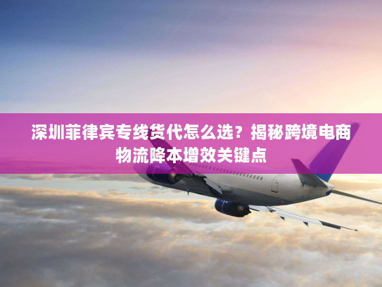 深圳菲律宾专线货代怎么选？揭秘跨境电商物流降本增效关键点