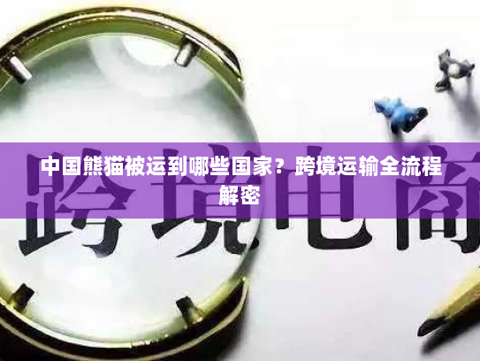 中国熊猫被运到哪些国家？跨境运输全流程解密