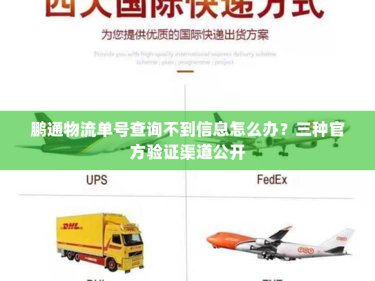 鹏通物流单号查询不到信息怎么办？三种官方验证渠道公开