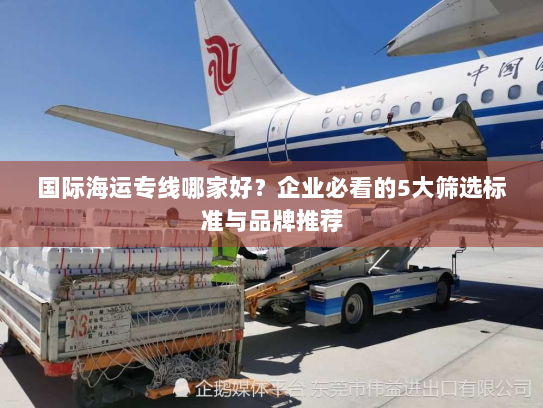 国际海运专线哪家好？企业必看的5大筛选标准与品牌推荐