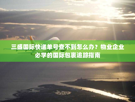 三盛国际快递单号查不到怎么办？物业企业必学的国际包裹追踪指南